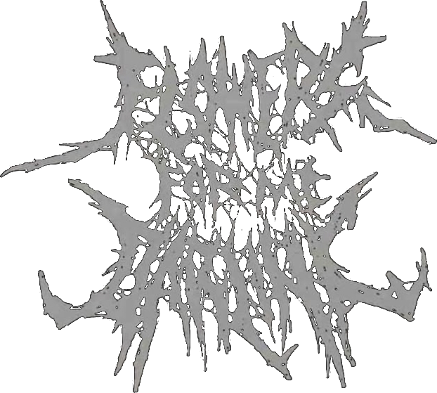 Flowers for My Darling